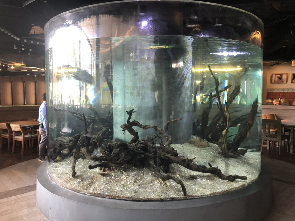 <b>海洋館更偏愛用亞克力魚缸的原因</b>